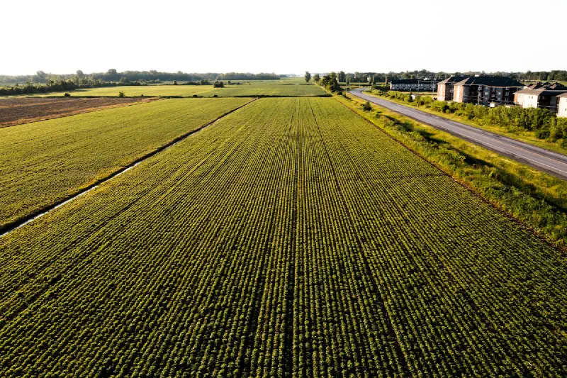 Marché immobilier à Mirabel: 3e trimestre 2026