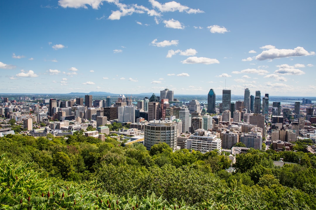 What the Data Actually Says About the Montreal Real Estate Market in 2025