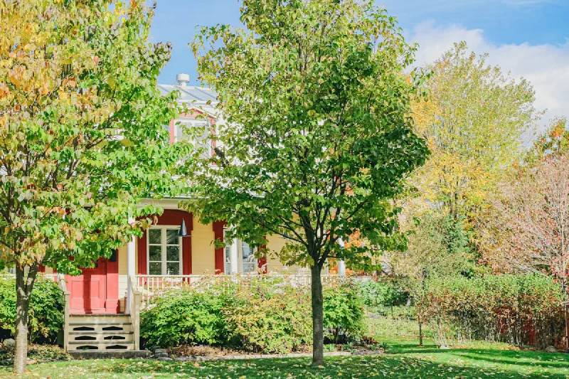 Marché immobilier à Saint-Eustache et Deux-Montagnes: 3e trimestre 2026